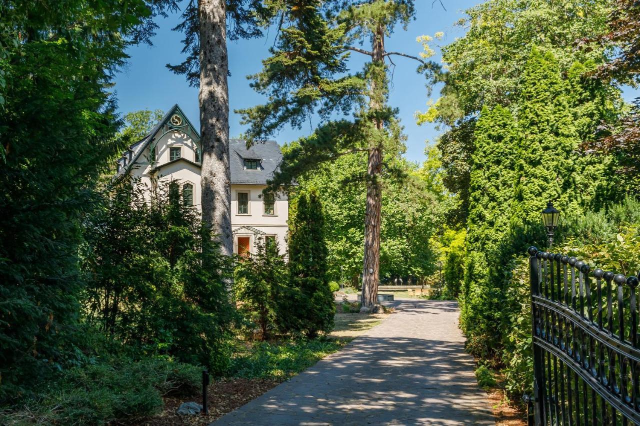 Luxus Hotel Design Villa Ottilienruh Ilsenburg Im Harz Buitenkant foto